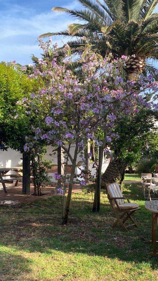 Banti Garden Hotel Tarifa Eksteriør billede